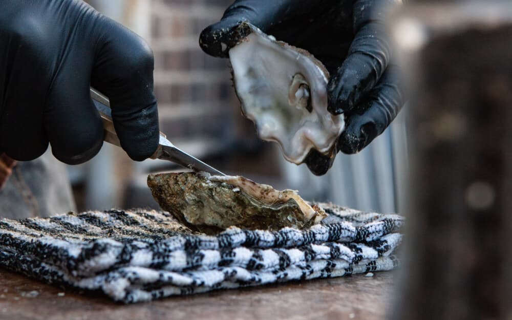 Stop at the Hottest Spots Along the Coast